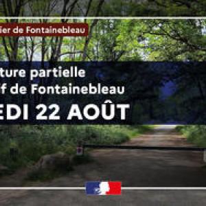 https://boissise-la-bertrand.fr/sites/boissise-la-bertrand.fr/files/styles/300x300/public/media/images/80-du-massif-forestier-de-fontainebleau-rouvrent-samedi-22-aout_large.jpg?itok=iJMVfgup