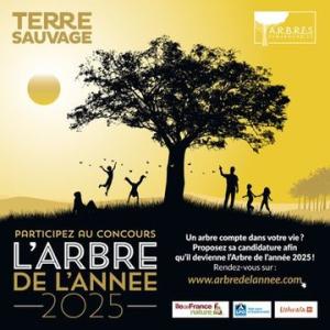 https://boissise-la-bertrand.fr/sites/boissise-la-bertrand.fr/files/styles/300x300/public/media/images/concours-de-larbre-de-lannee-2025-actu.jpg?itok=r7PV0Mw5
