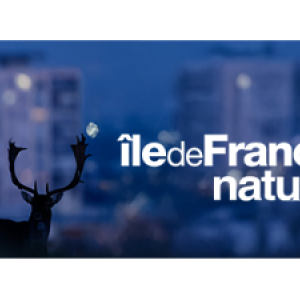 https://boissise-la-bertrand.fr/sites/boissise-la-bertrand.fr/files/styles/300x300/public/media/images/logo-idf-nature-carre.png?itok=NL6XZovM