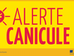 Canicule